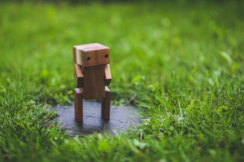 What is a Chatbot