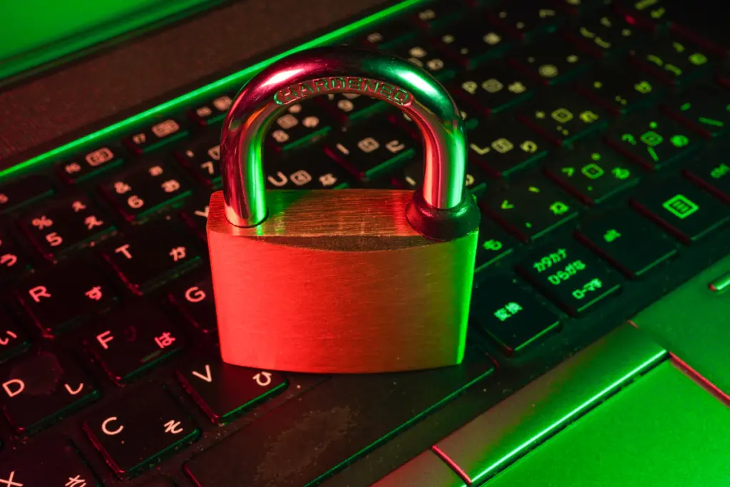 Cybersecurity technology representing website security, search spam updates and SEO monitoring